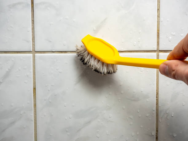 Best Mold Remediation Services  in Brilliant, OH