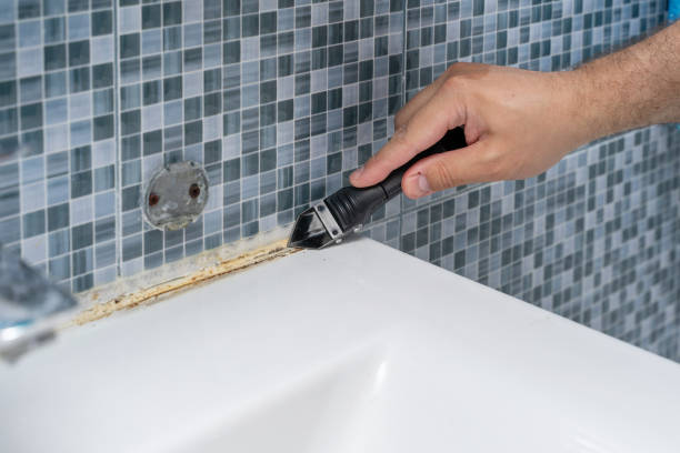 Best Best Mold Removal Companies  in Brilliant, OH